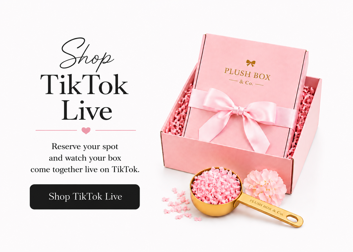 Shop TikTok Live 🎀