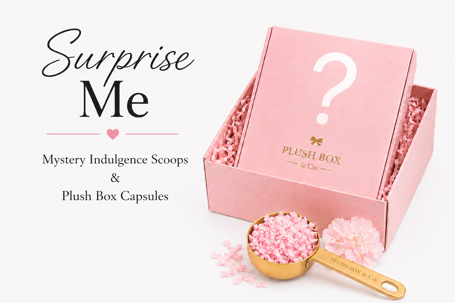 Surprise Me 🎀