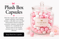 Plush Box Capsule Experience 🎀
